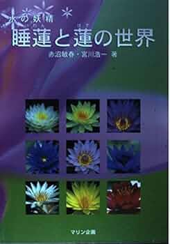 51q-sy5+M0L._AC_UF350, 51q-sy5+M0L._AC_UF350,